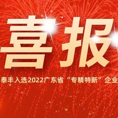 热烈祝贺雷竞技APP官方入选2022广东省“专精特新”企业！